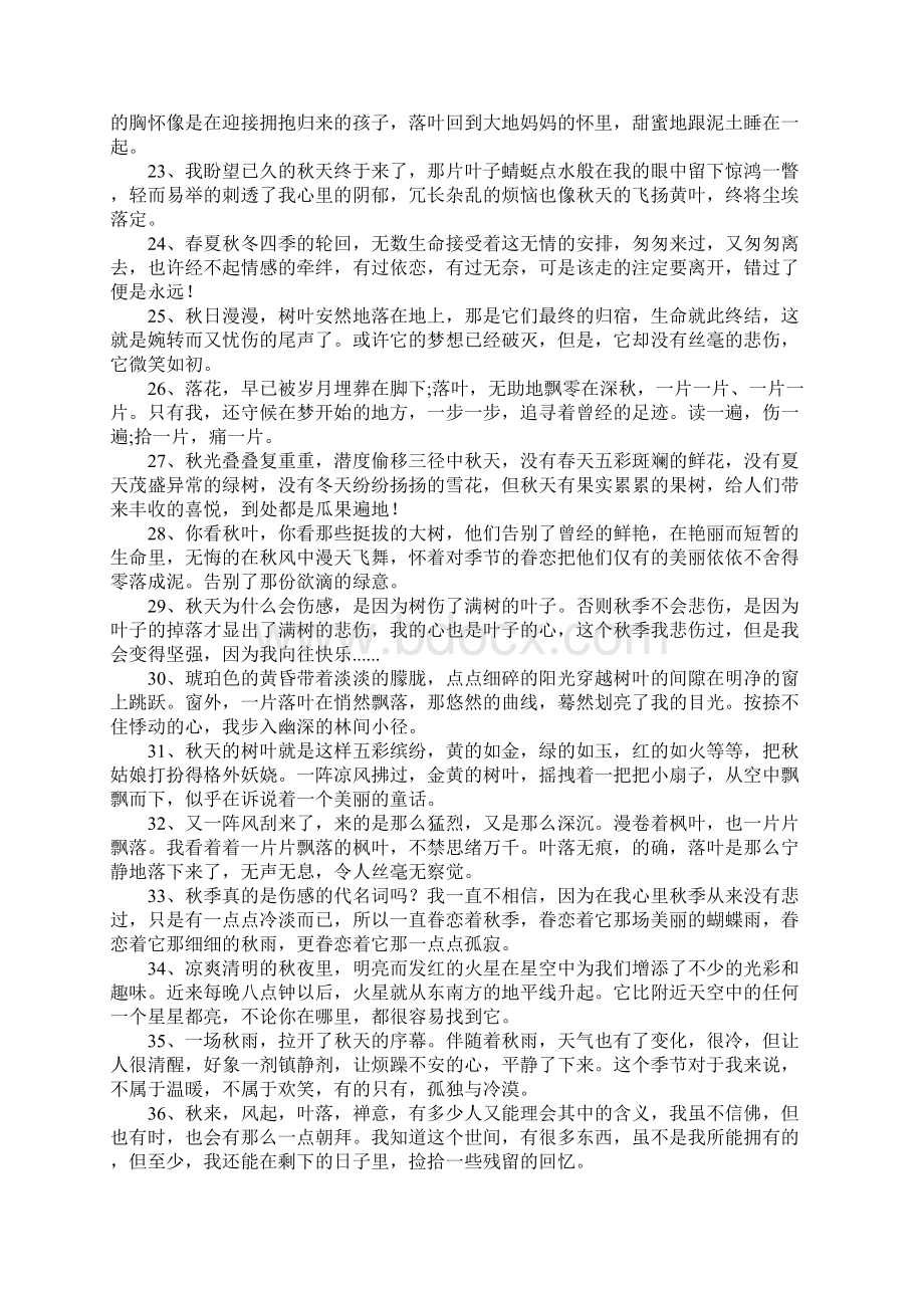 落叶的唯美句子Word文档下载推荐.docx_第2页