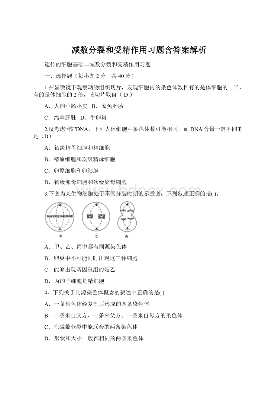 减数分裂和受精作用习题含答案解析.docx