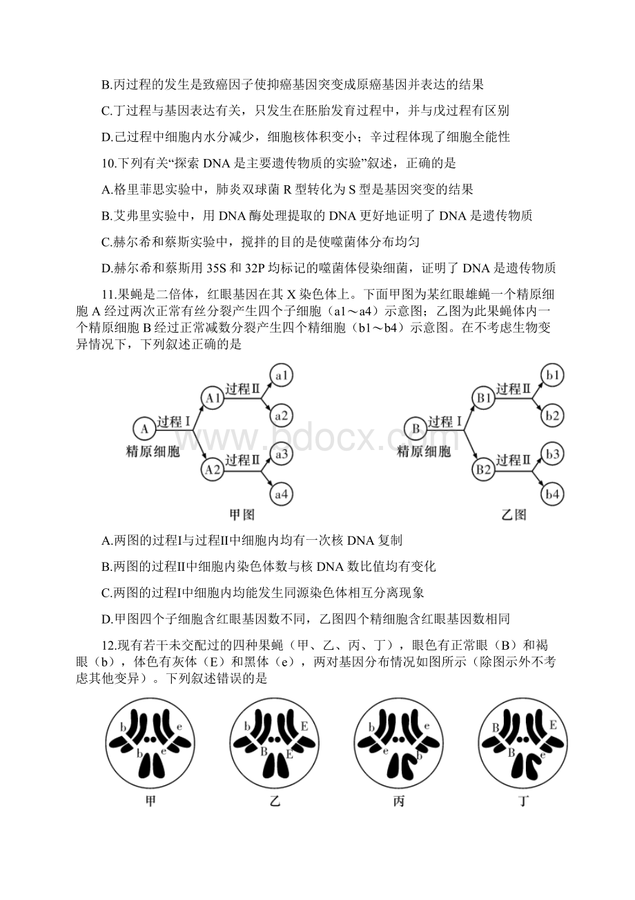 湖南省长郡中学学年高二下学期期末考试生物试题.docx_第3页