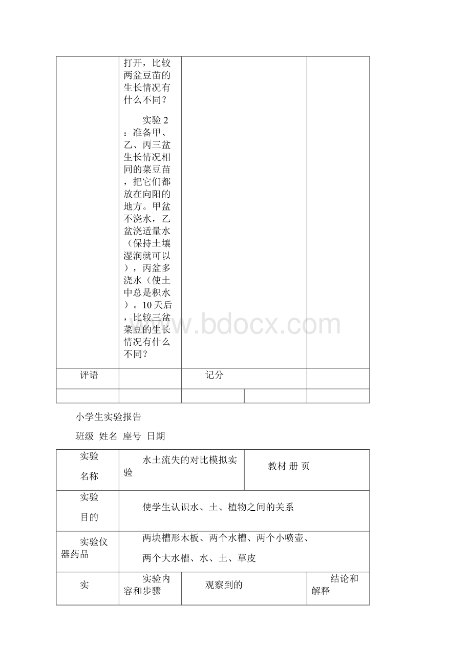 教科版科学六年级上册实验报告单.docx_第3页