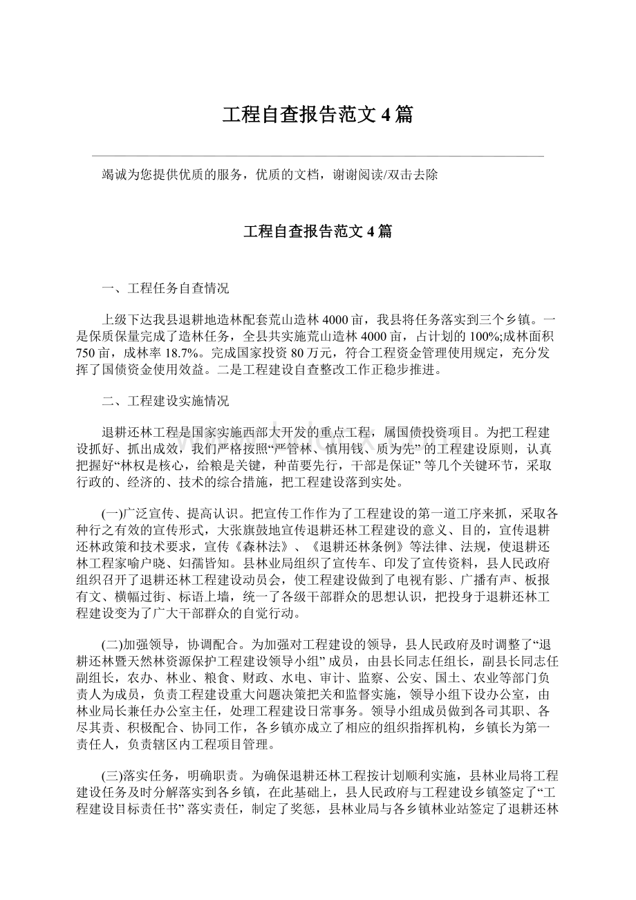 工程自查报告范文4篇文档格式.docx