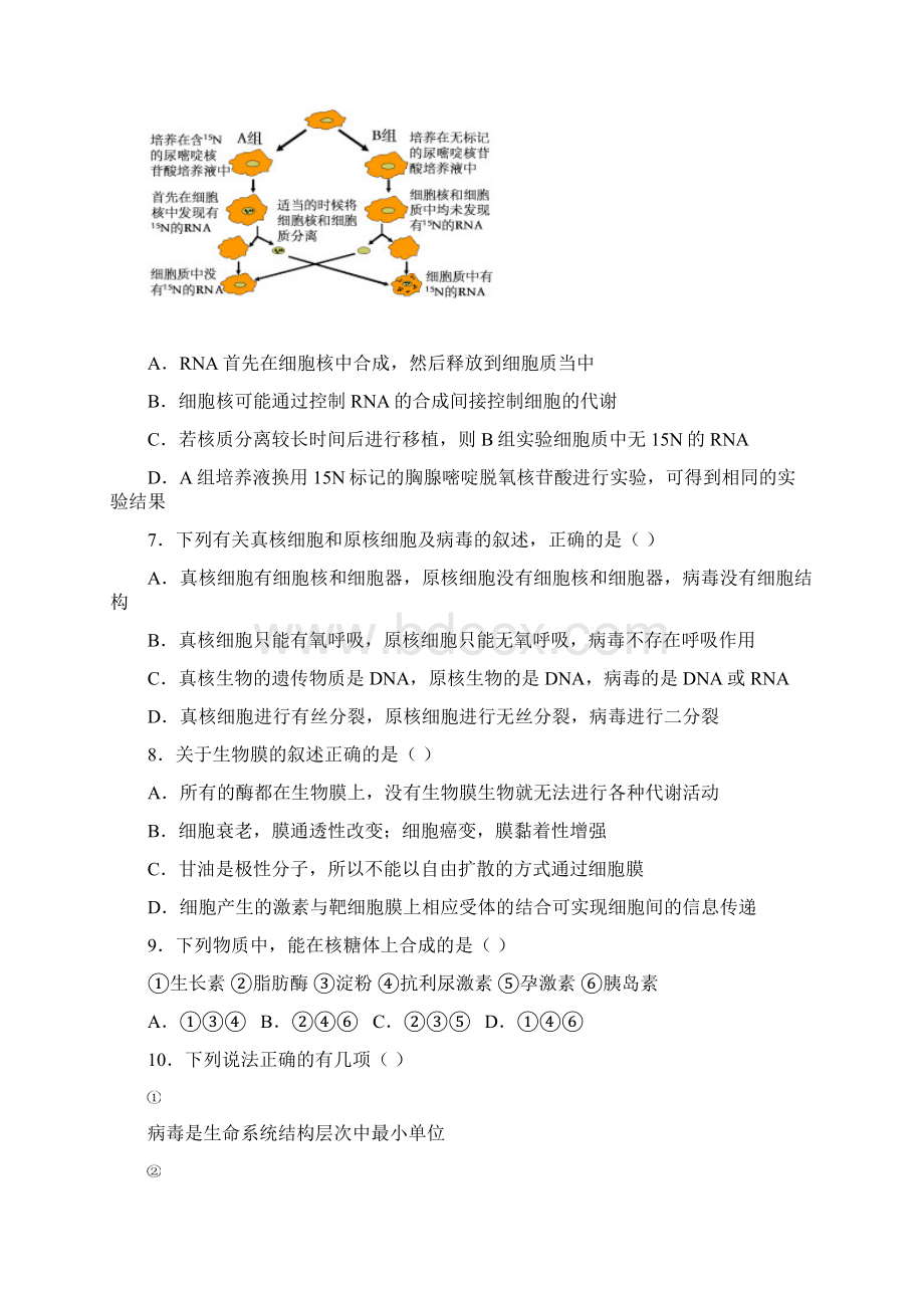 湖北省孝感高中届高三十月阶段性生物考试Word文档格式.docx_第3页