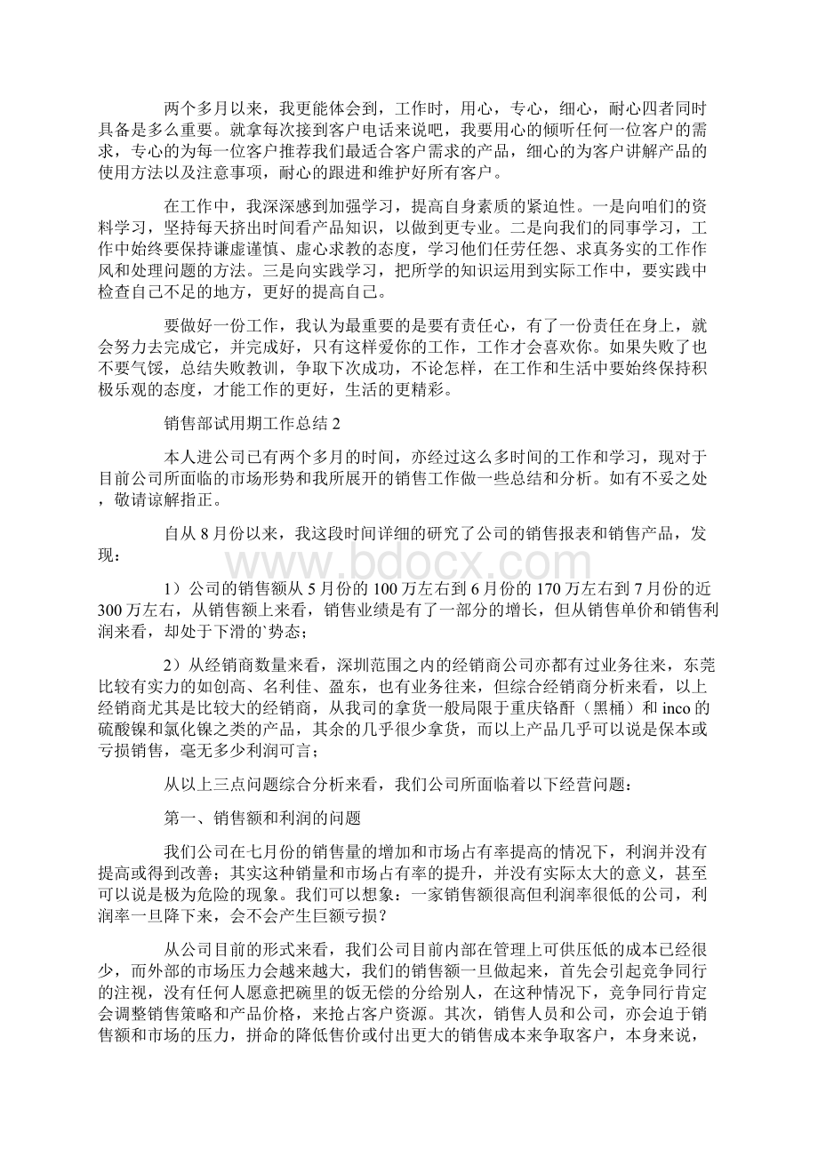 销售部试用期工作总结.docx_第2页