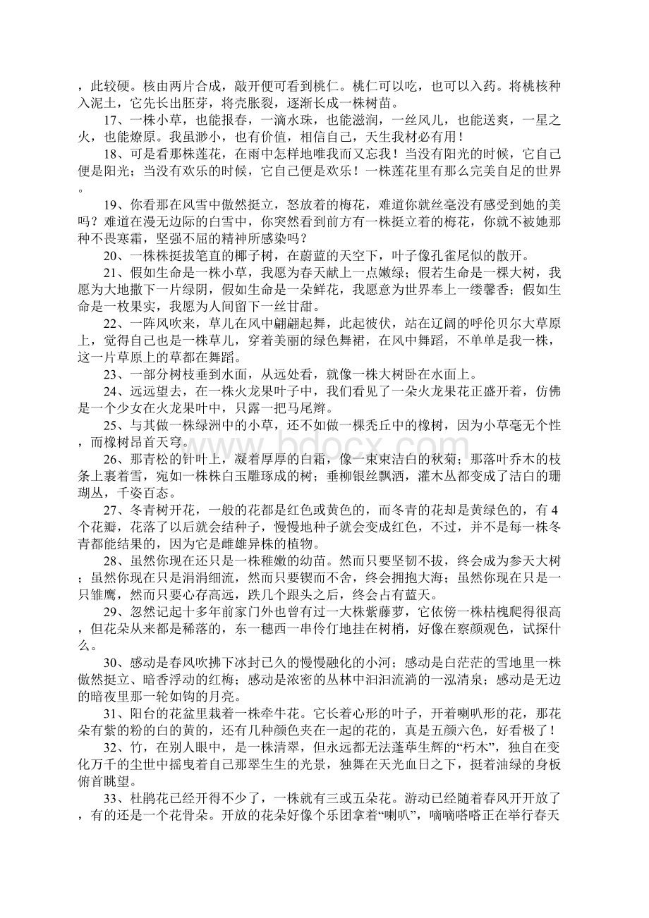 株的造句Word格式文档下载.docx_第2页