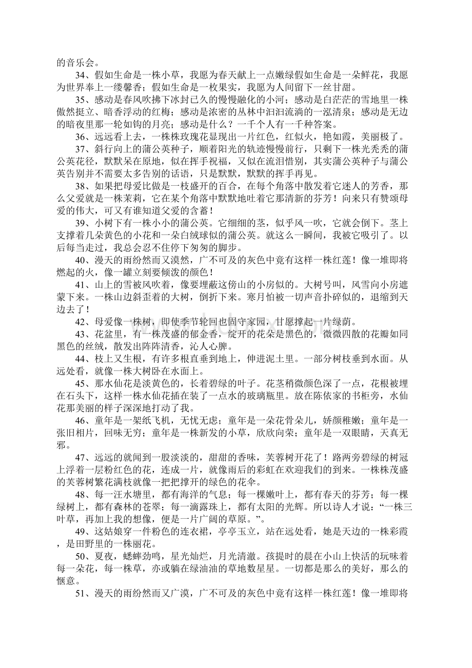 株的造句Word格式文档下载.docx_第3页