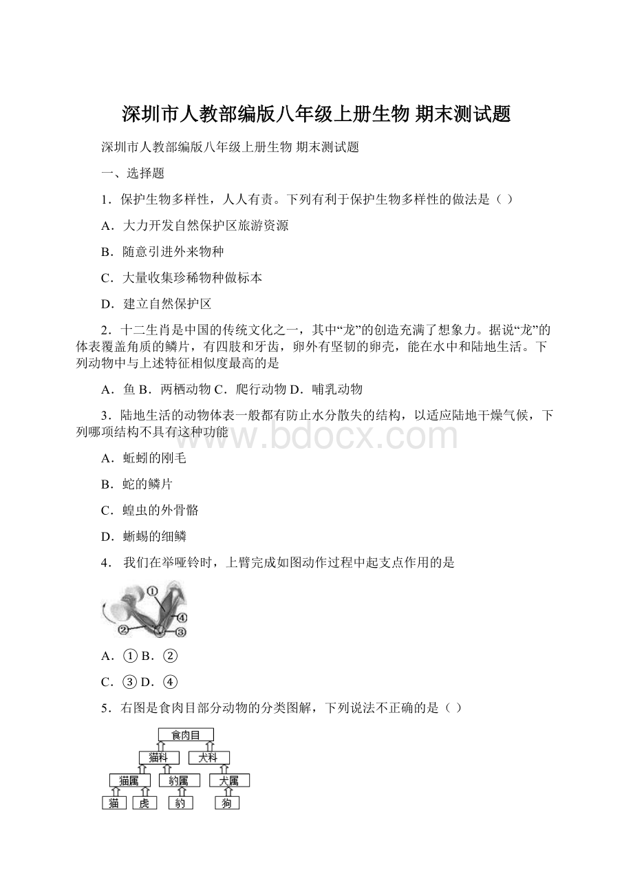 深圳市人教部编版八年级上册生物 期末测试题.docx