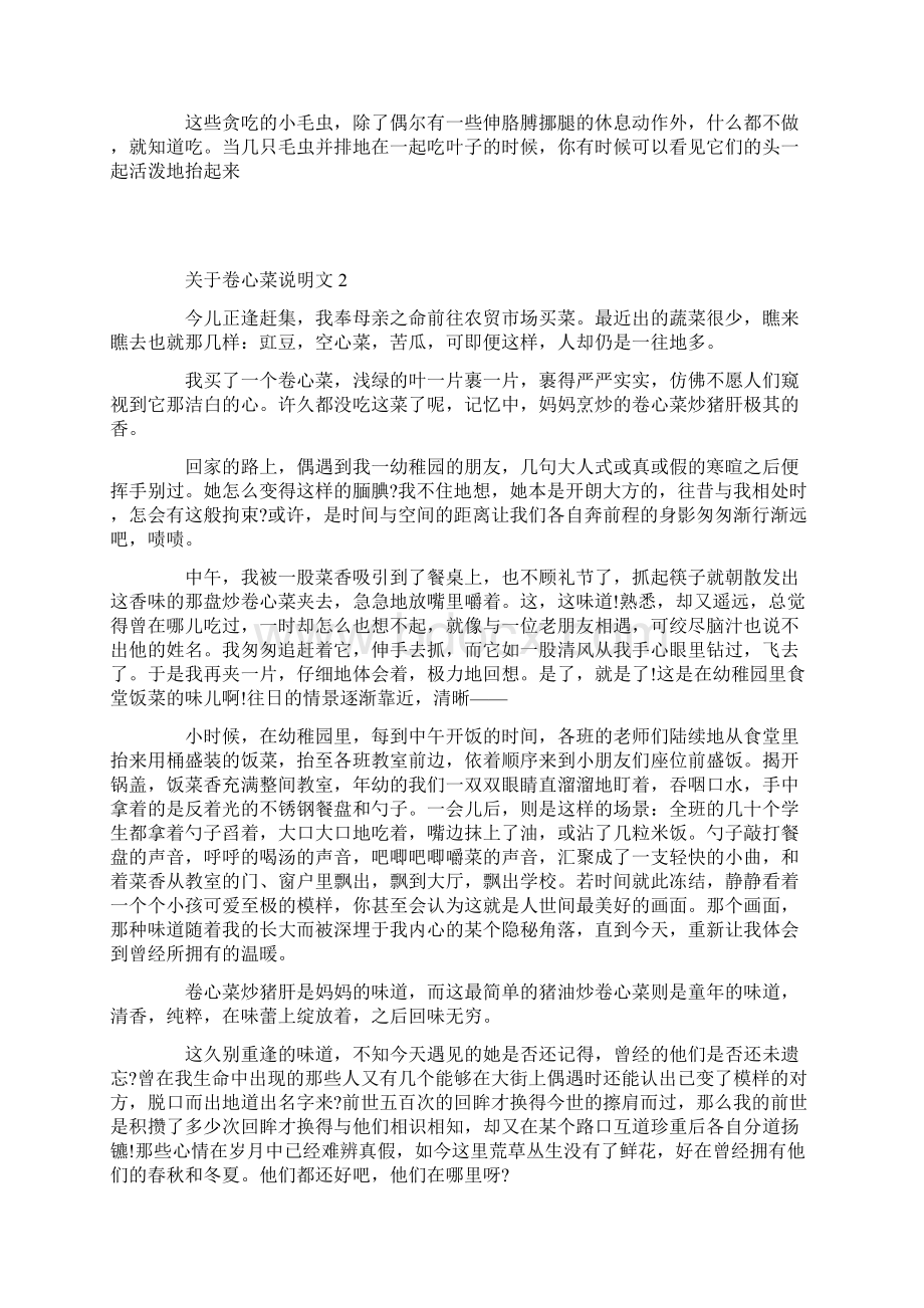 关于卷心菜说明文.docx_第2页