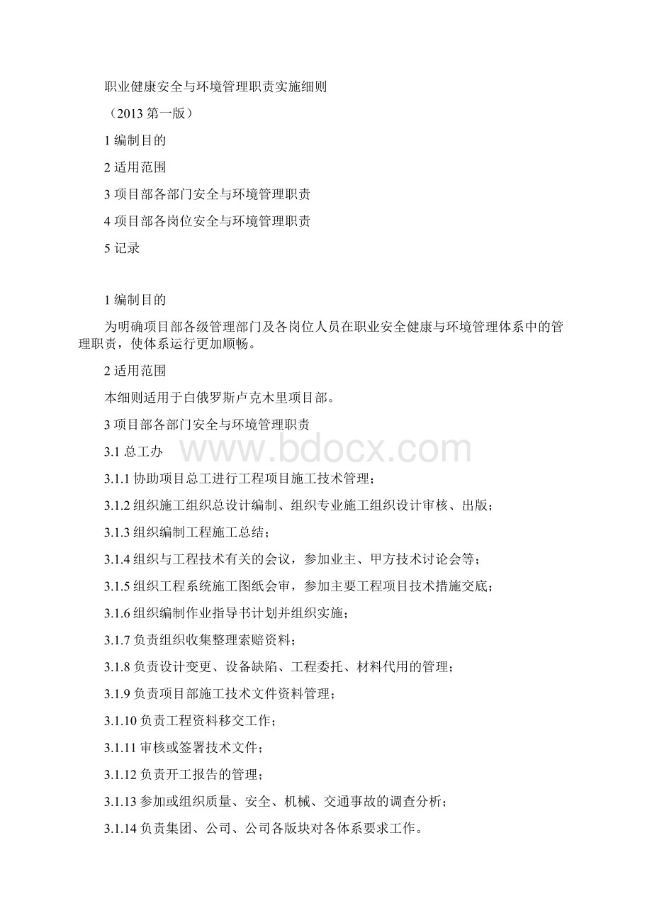 职业健康安全与环境管理职责实施细则Word文档格式.docx_第2页