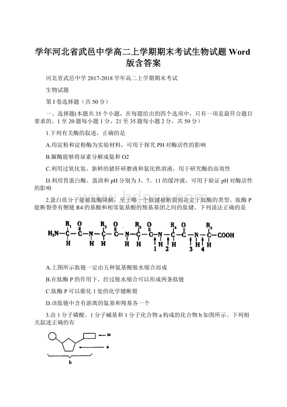 学年河北省武邑中学高二上学期期末考试生物试题 Word版含答案.docx_第1页