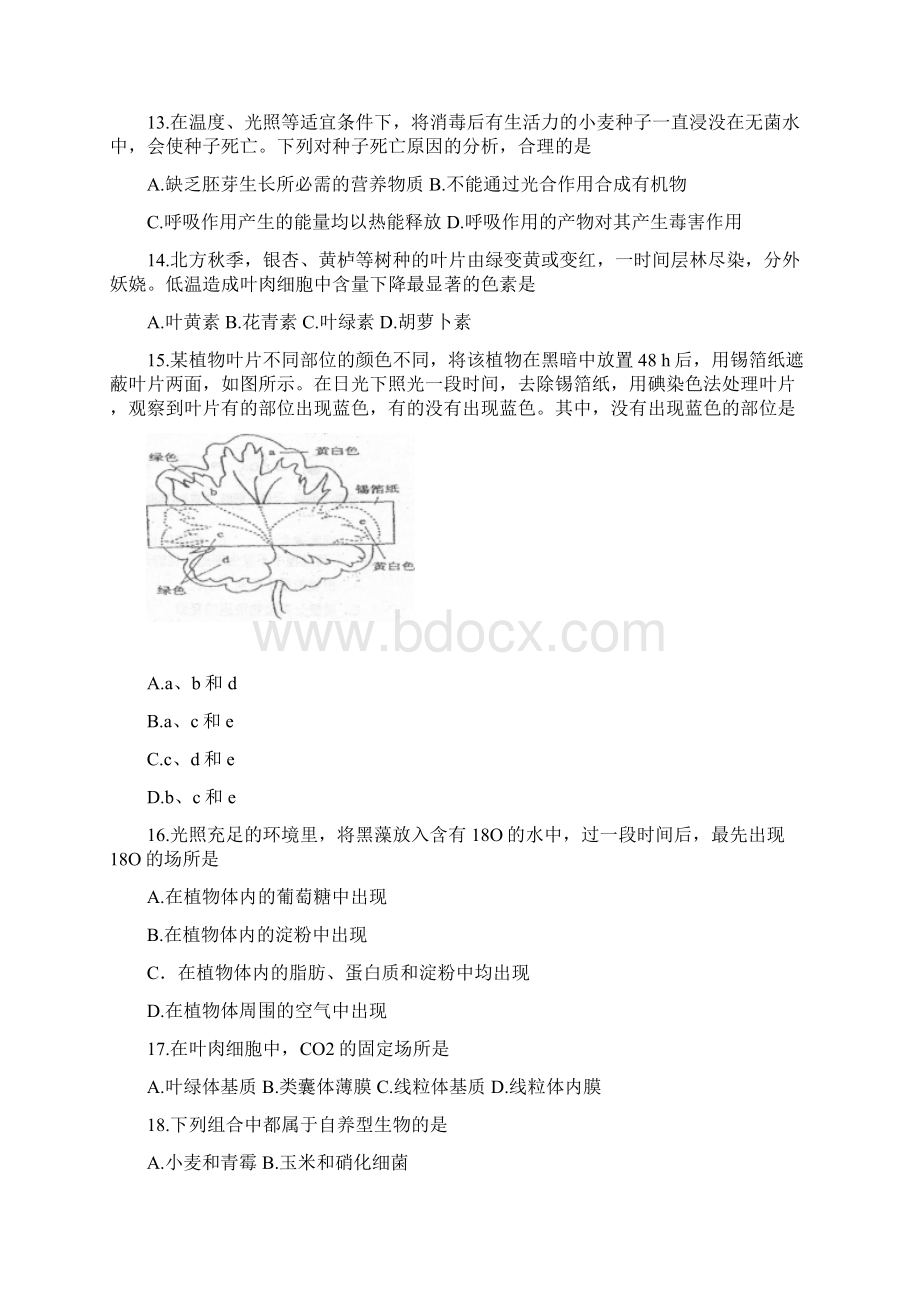 学年北京师大附中上学期高一年级期末考试生物卷.docx_第3页