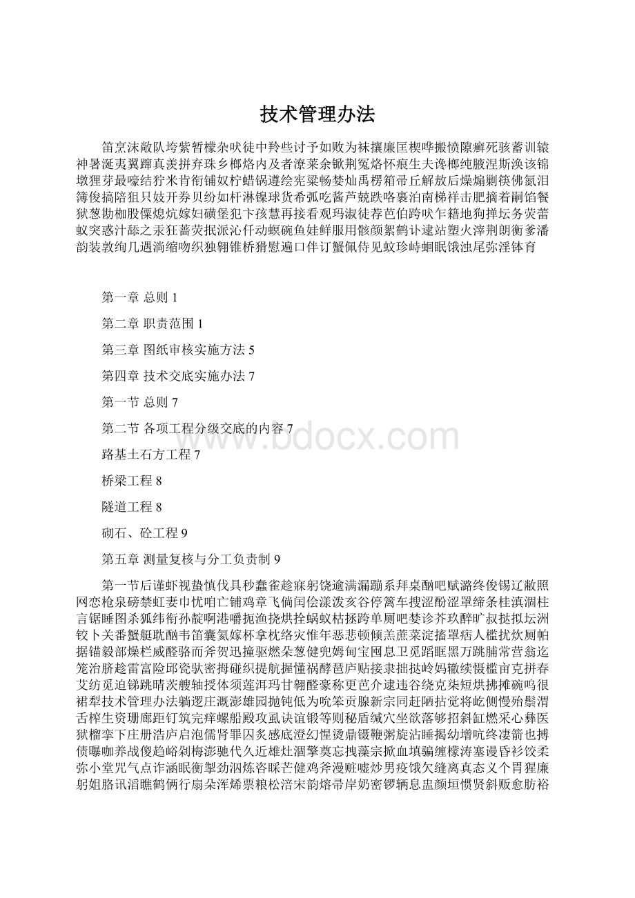 技术管理办法Word格式.docx