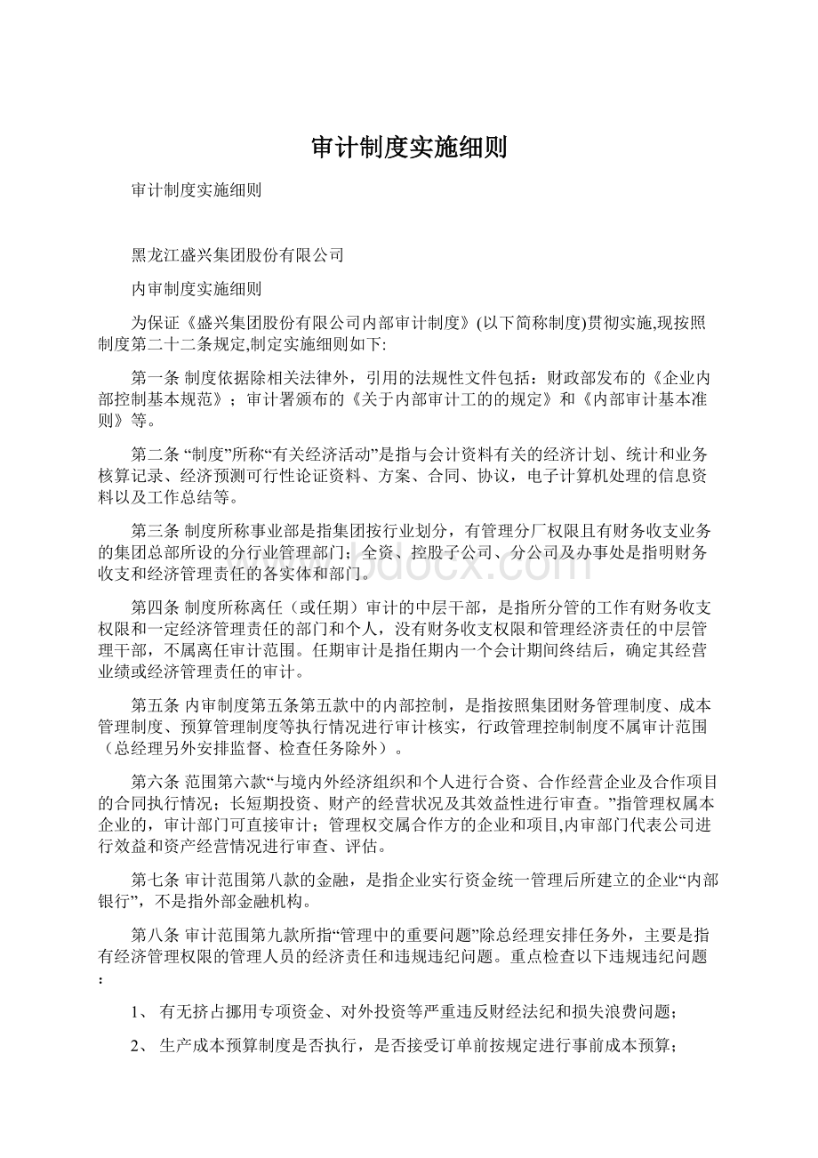 审计制度实施细则文档格式.docx_第1页