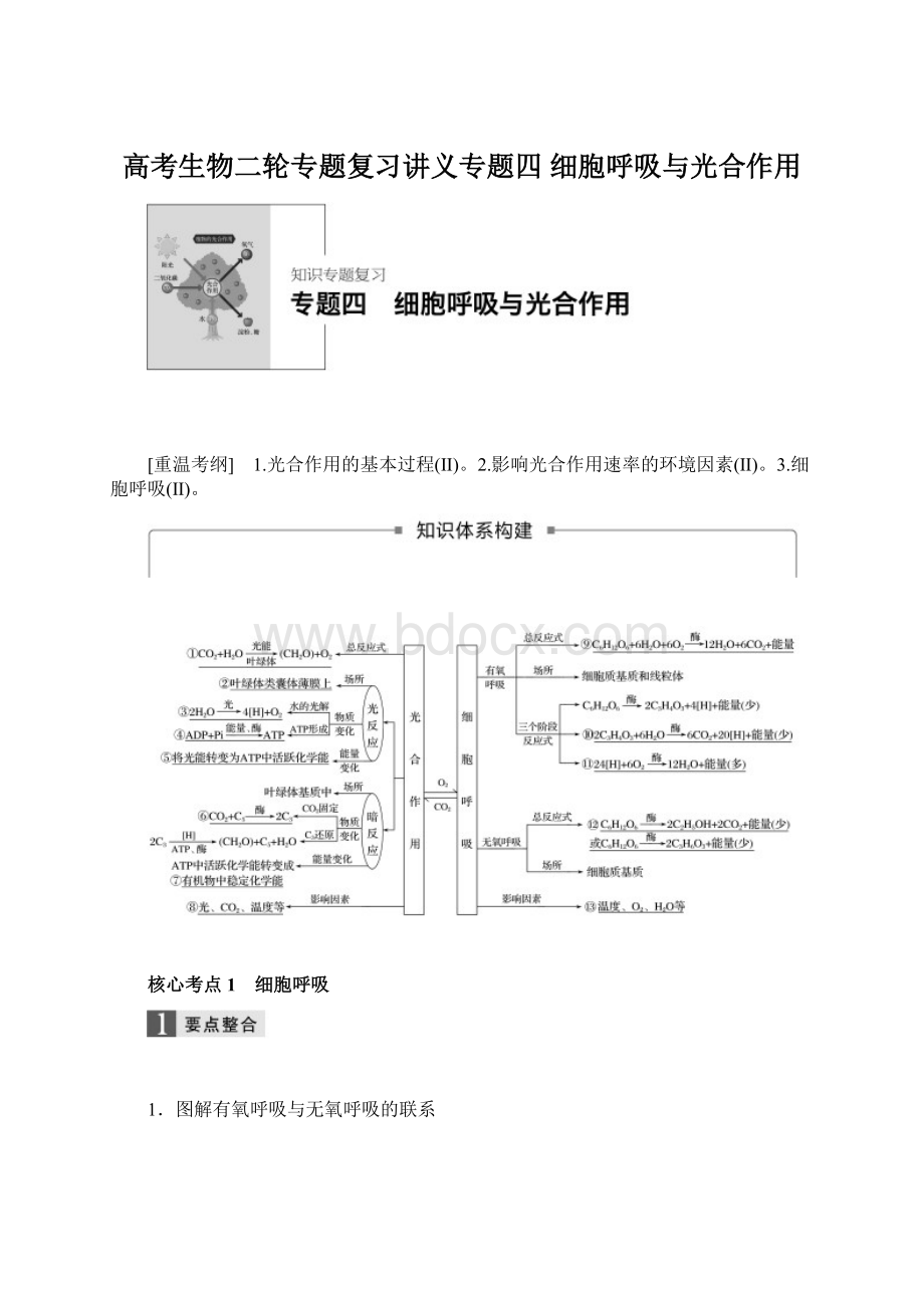 高考生物二轮专题复习讲义专题四 细胞呼吸与光合作用Word格式文档下载.docx_第1页