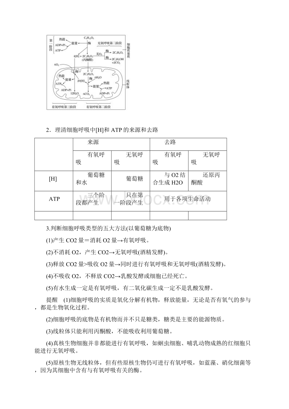 高考生物二轮专题复习讲义专题四 细胞呼吸与光合作用Word格式文档下载.docx_第2页