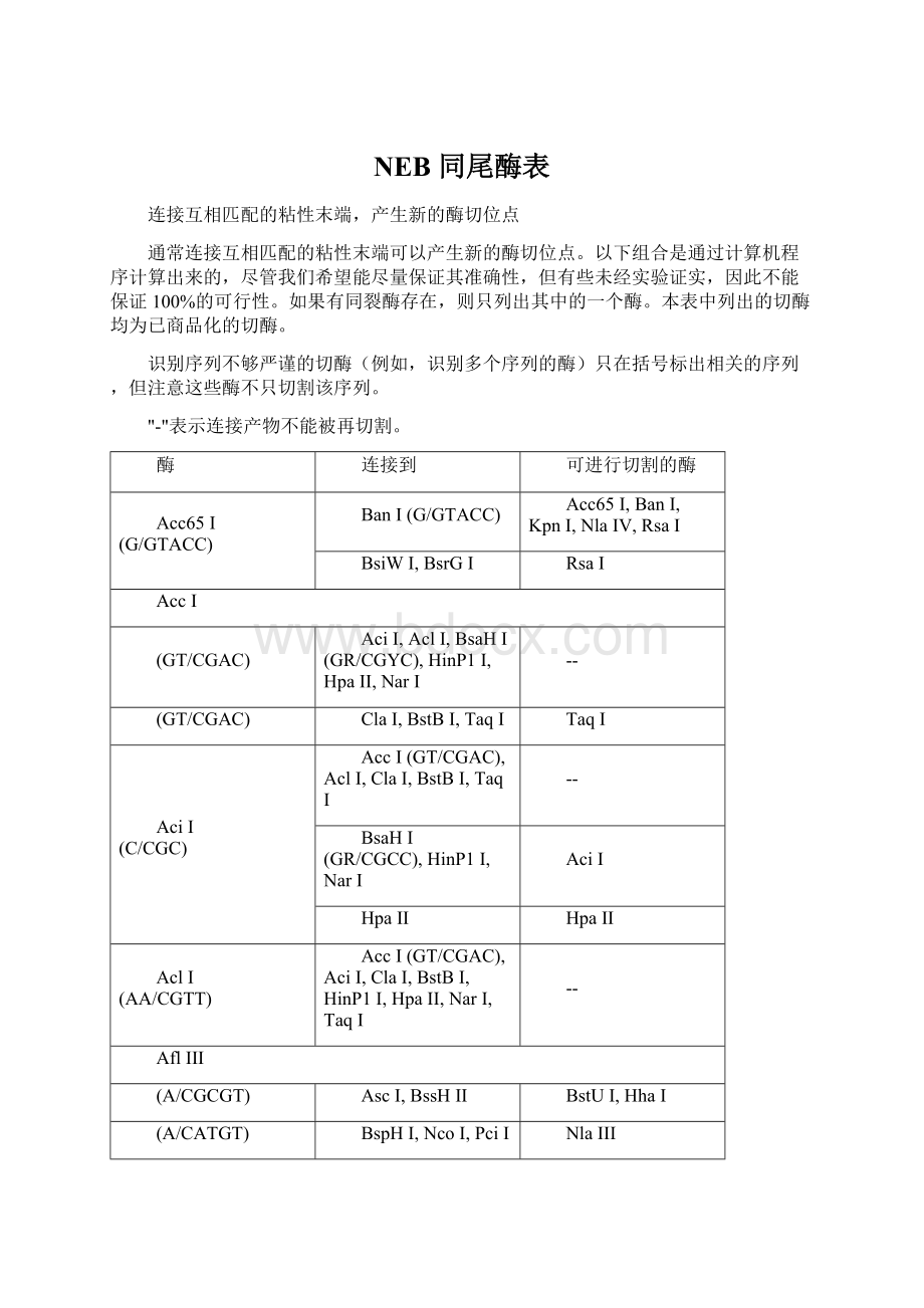 NEB 同尾酶表Word格式文档下载.docx