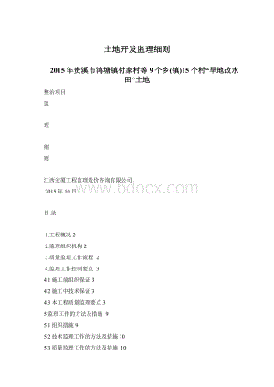 土地开发监理细则.docx