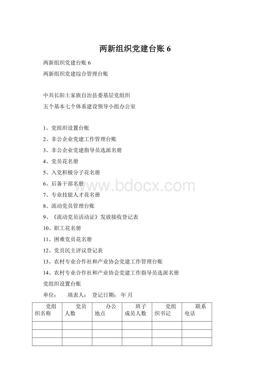 两新组织党建台账6Word格式.docx