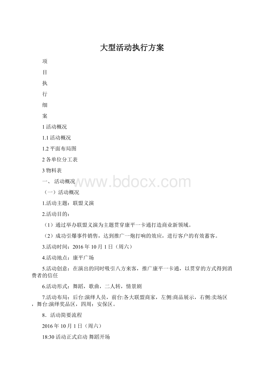 大型活动执行方案.docx_第1页