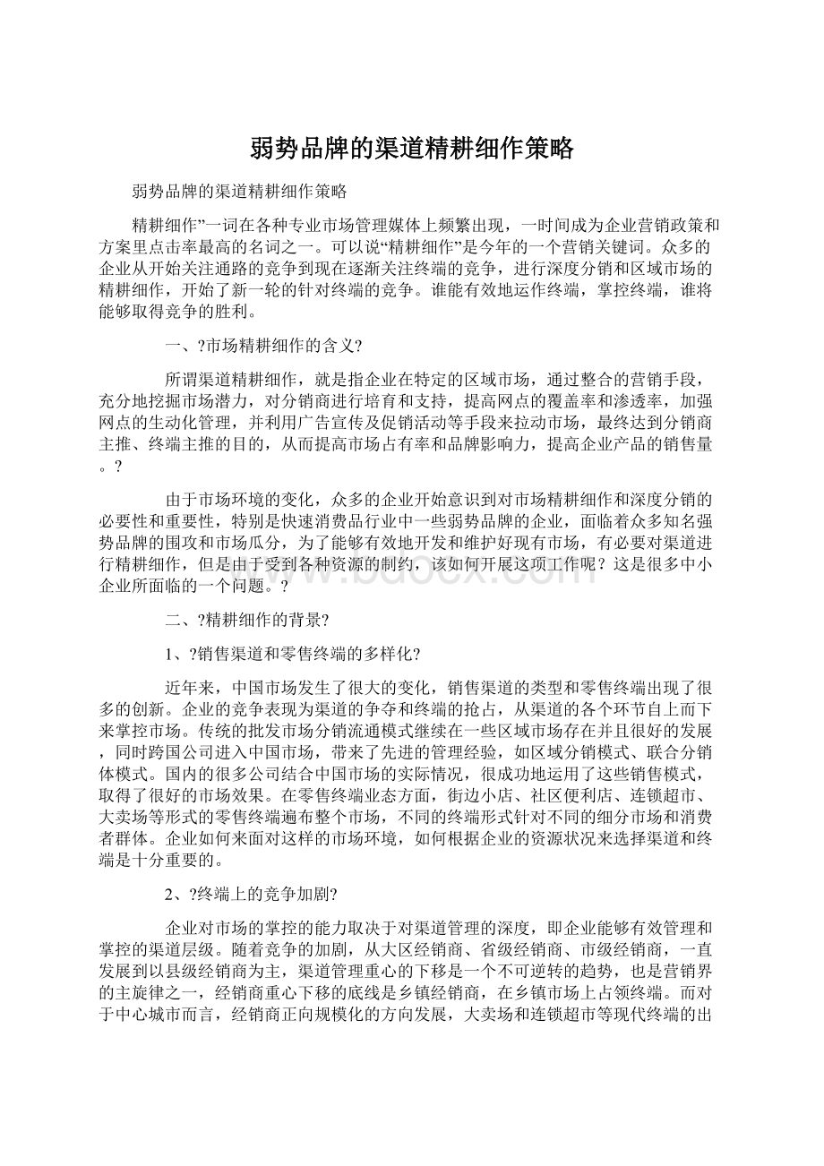 弱势品牌的渠道精耕细作策略Word文档格式.docx_第1页