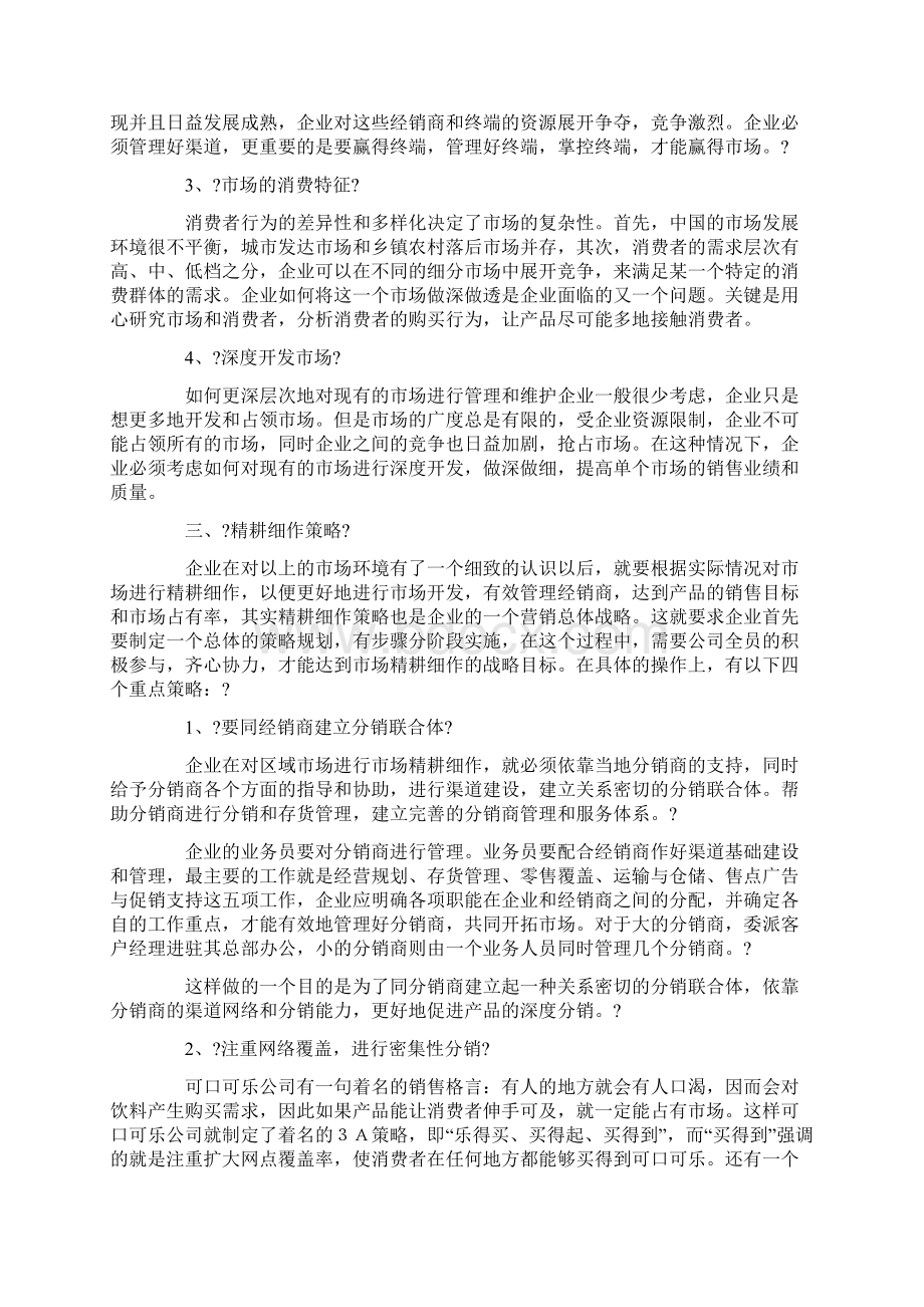 弱势品牌的渠道精耕细作策略Word文档格式.docx_第2页