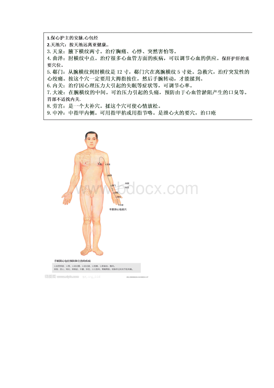 最新全身14经络示范图整理打印版.docx_第2页