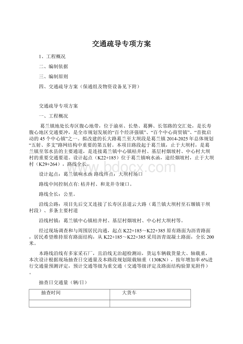 交通疏导专项方案文档格式.docx