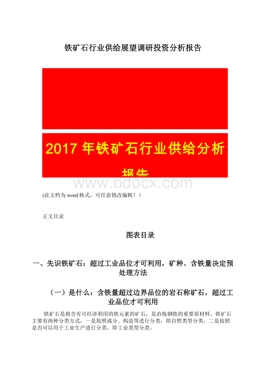 铁矿石行业供给展望调研投资分析报告Word格式文档下载.docx