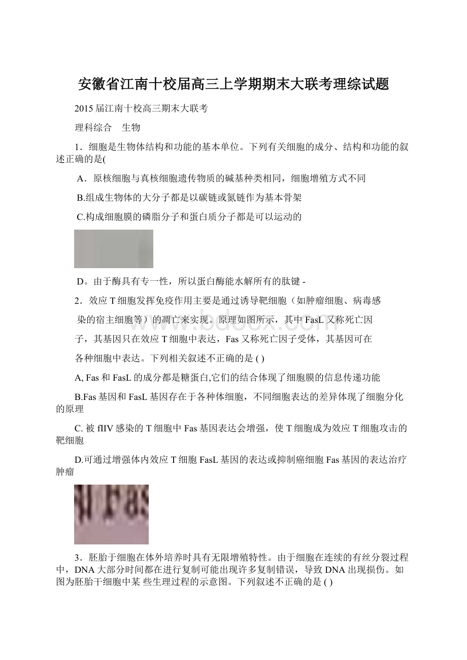 安徽省江南十校届高三上学期期末大联考理综试题文档格式.docx_第1页