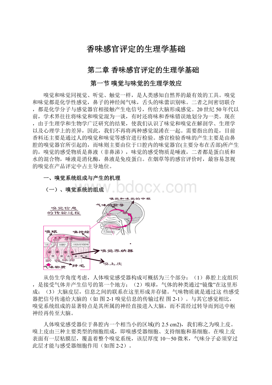 香味感官评定的生理学基础.docx