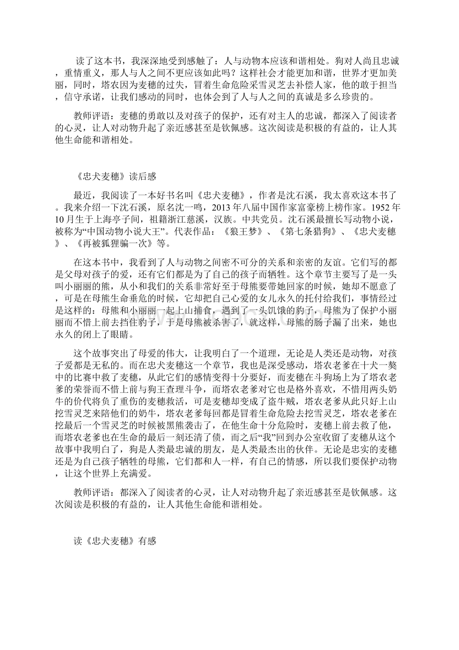 《忠犬麦穗》读后感及教师评语Word下载.docx_第2页