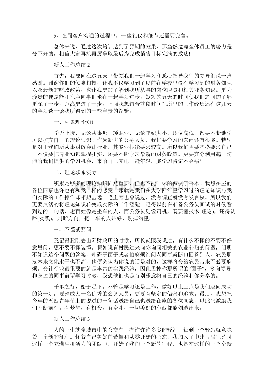 工作总结600字范文新人文档格式.docx_第2页