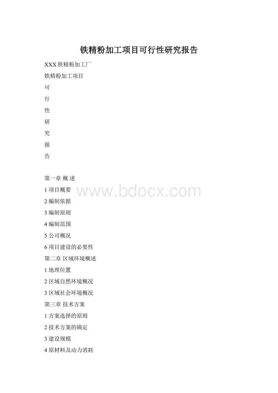 铁精粉加工项目可行性研究报告.docx_第1页