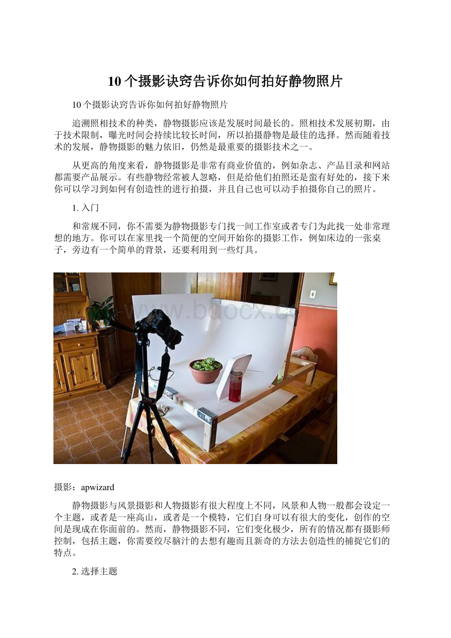 10个摄影诀窍告诉你如何拍好静物照片.docx_第1页