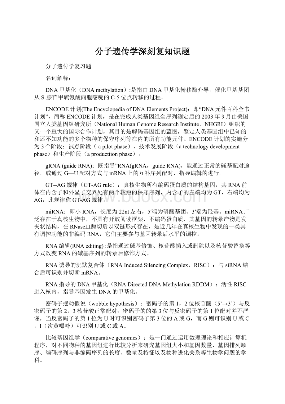 分子遗传学深刻复知识题Word文档格式.docx