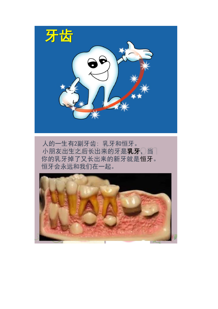 幼儿园开展保护牙齿健康教育主题课件Word下载.docx_第2页