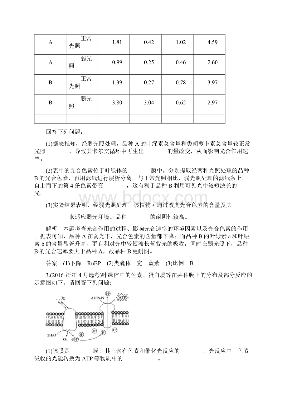 人教版版高考生物总复习非选择题必考专题一 细胞的代谢 第4讲 光合色素及光合作用过程学案.docx_第2页