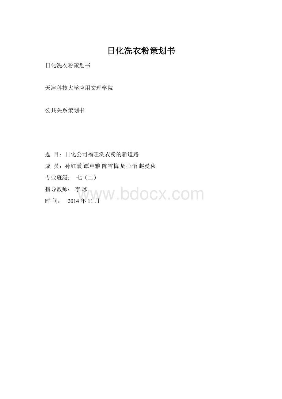 日化洗衣粉策划书.docx