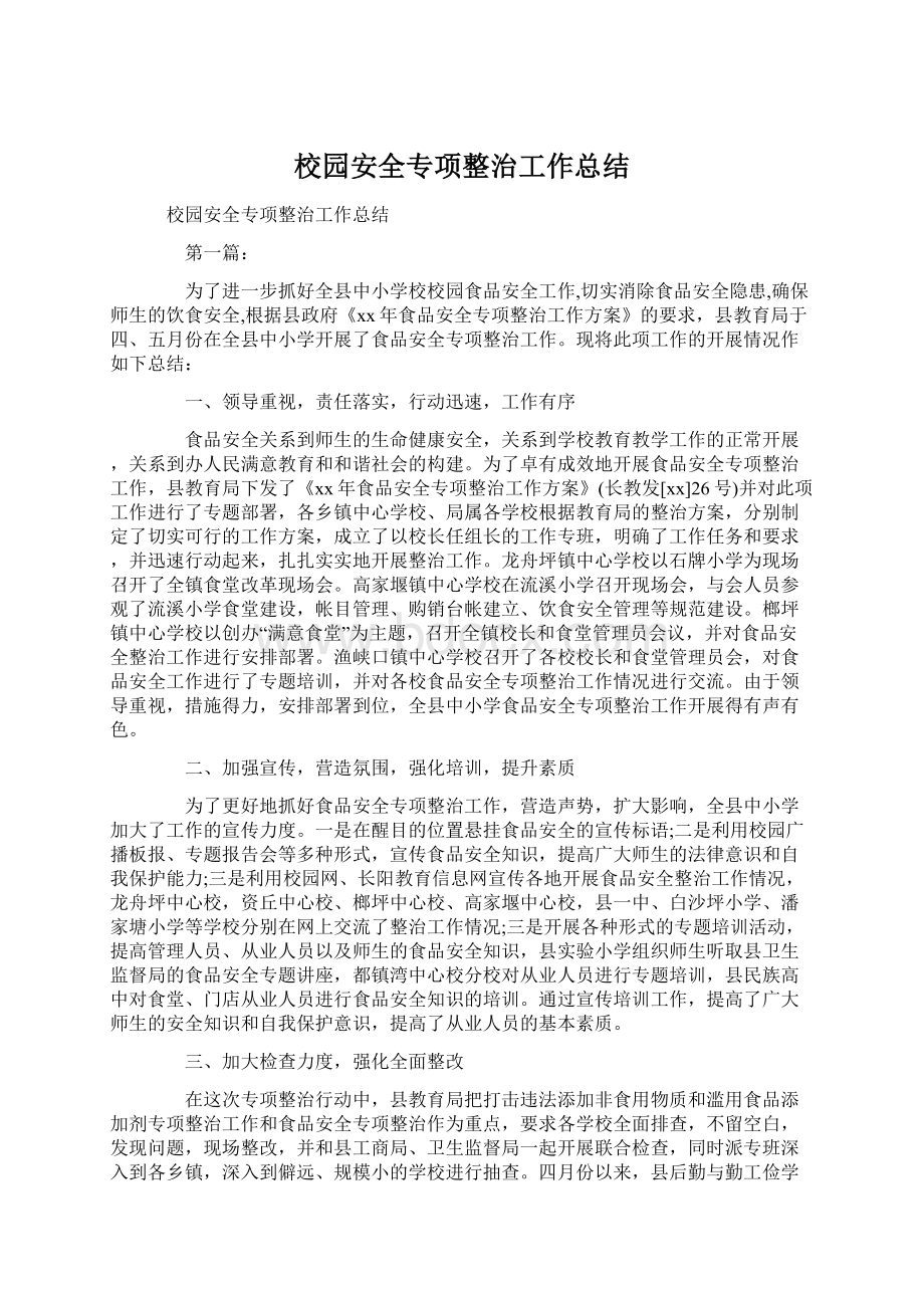 校园安全专项整治工作总结文档格式.docx