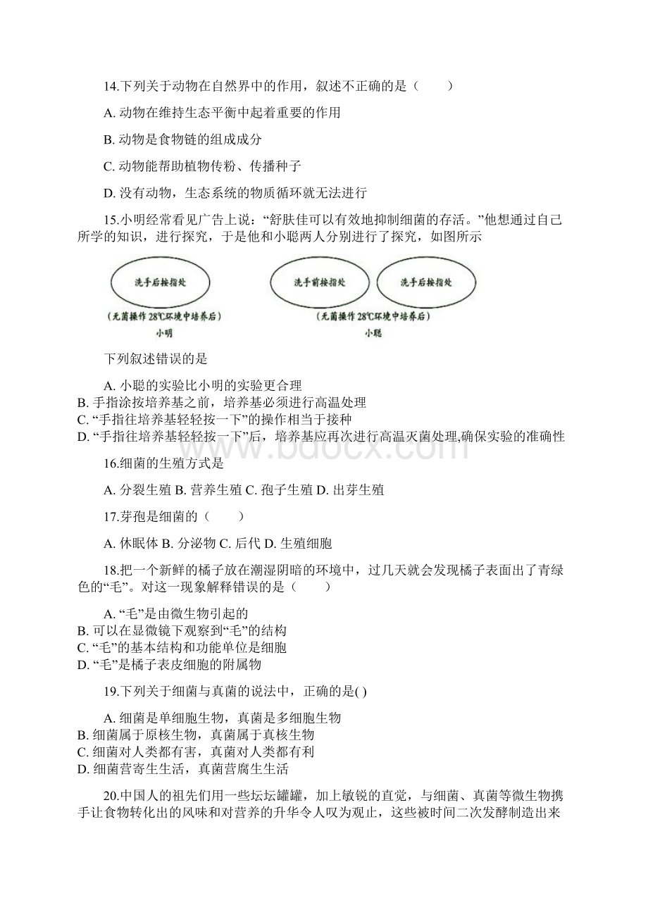 学年八年级上期末生物复习卷 49含答案解析.docx_第3页