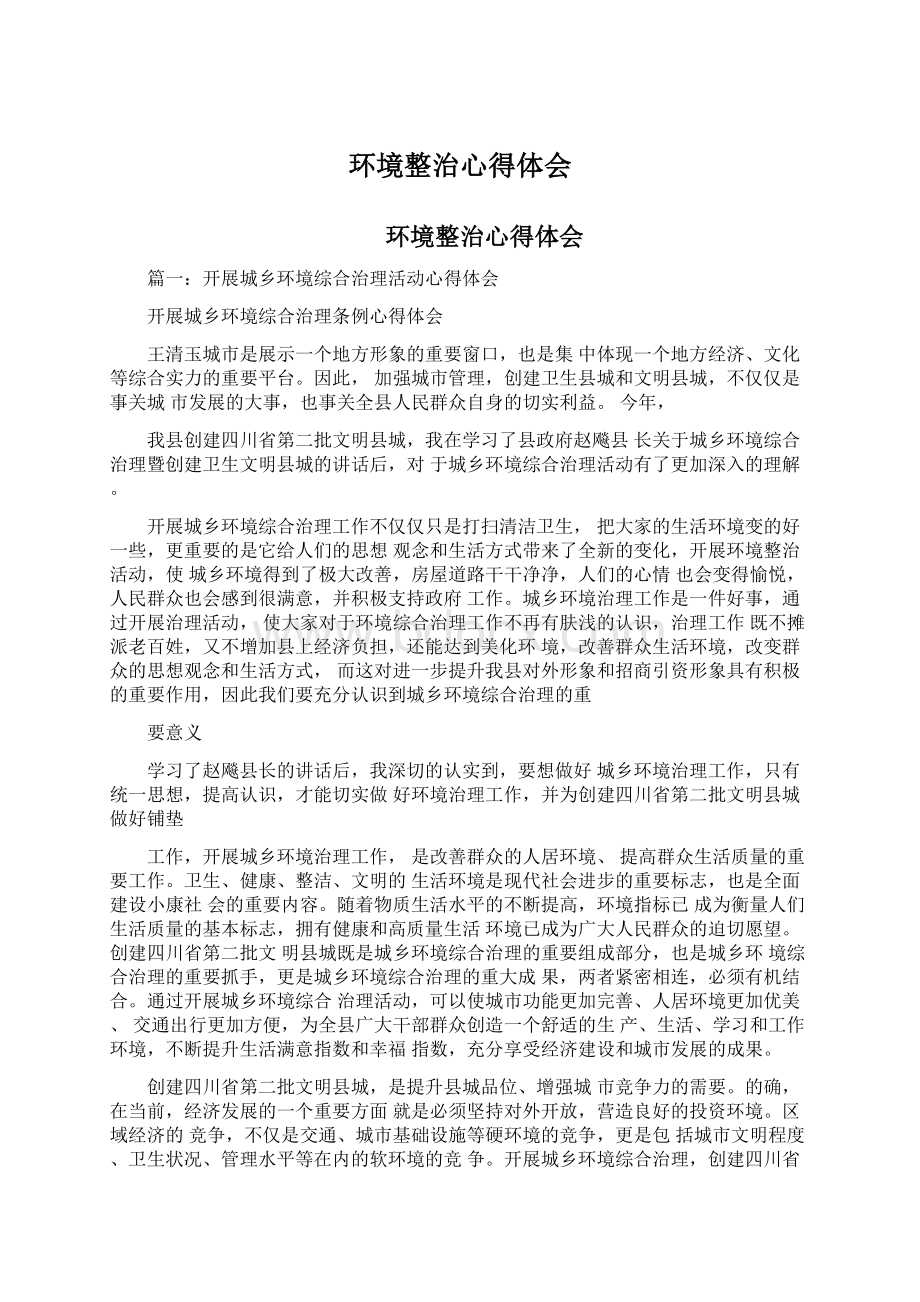 环境整治心得体会Word文档格式.docx_第1页