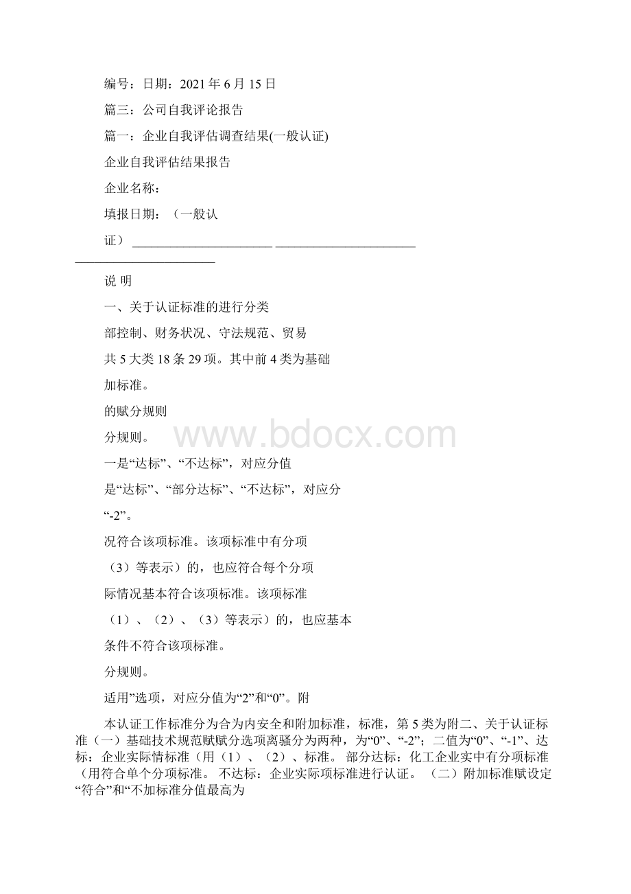 企业自我评估报告.docx_第3页