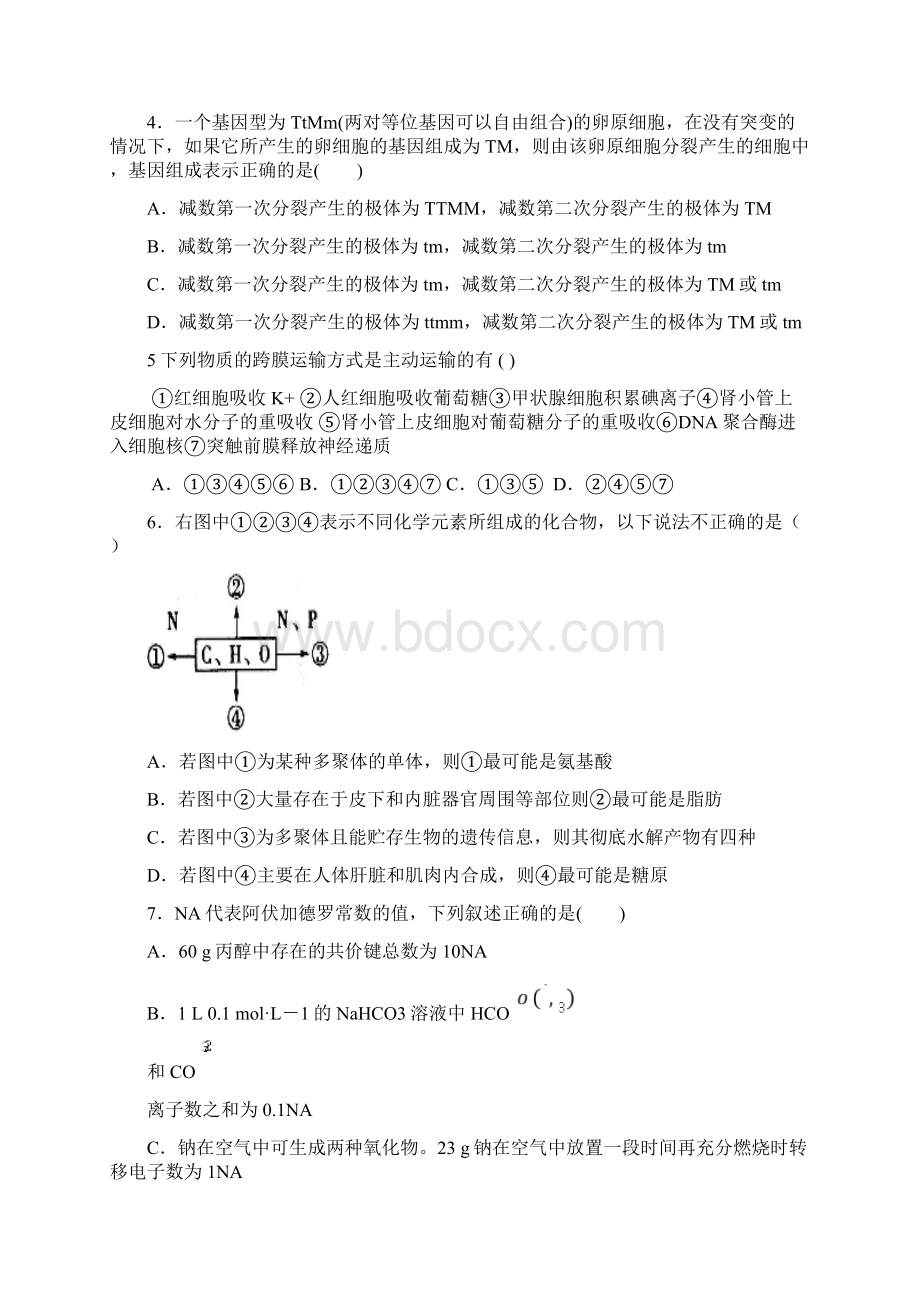 河北省承德一中高三理综上学期第三次月考试题.docx_第2页