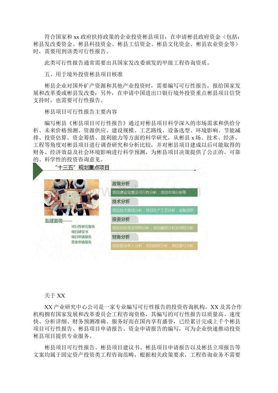 彬县项目可行性研究报告如何编写Word文档格式.docx_第2页