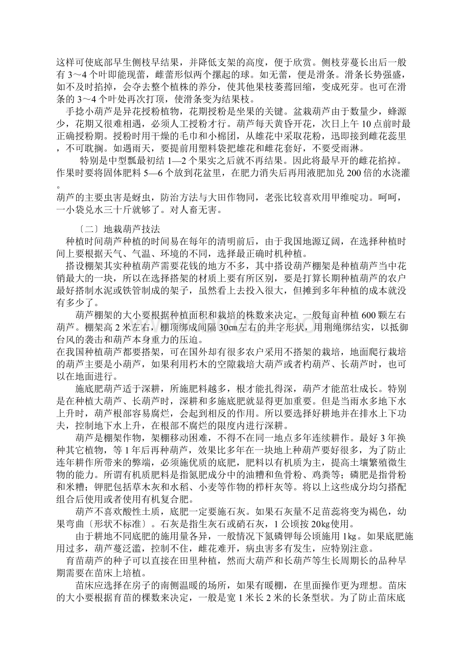 手捻葫芦以及各类葫芦的种植方法.docx_第2页