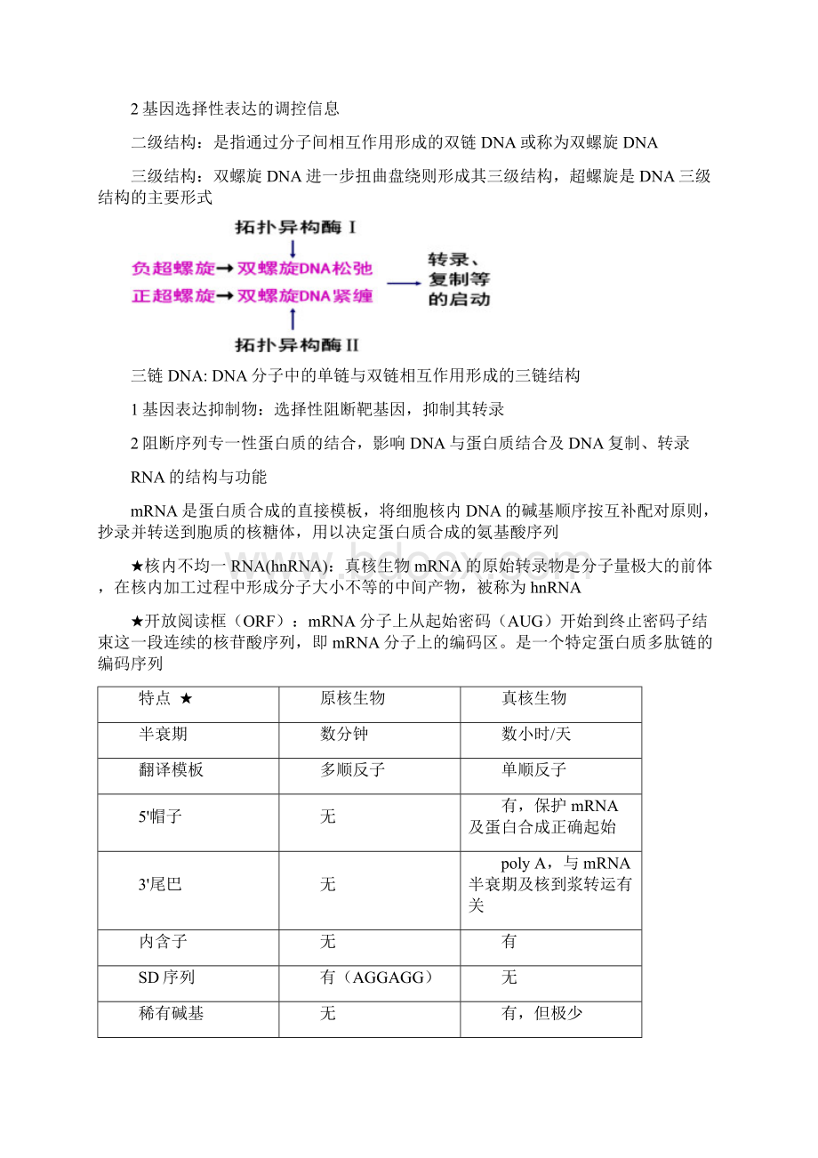 药学分子生物学重点doc.docx_第2页