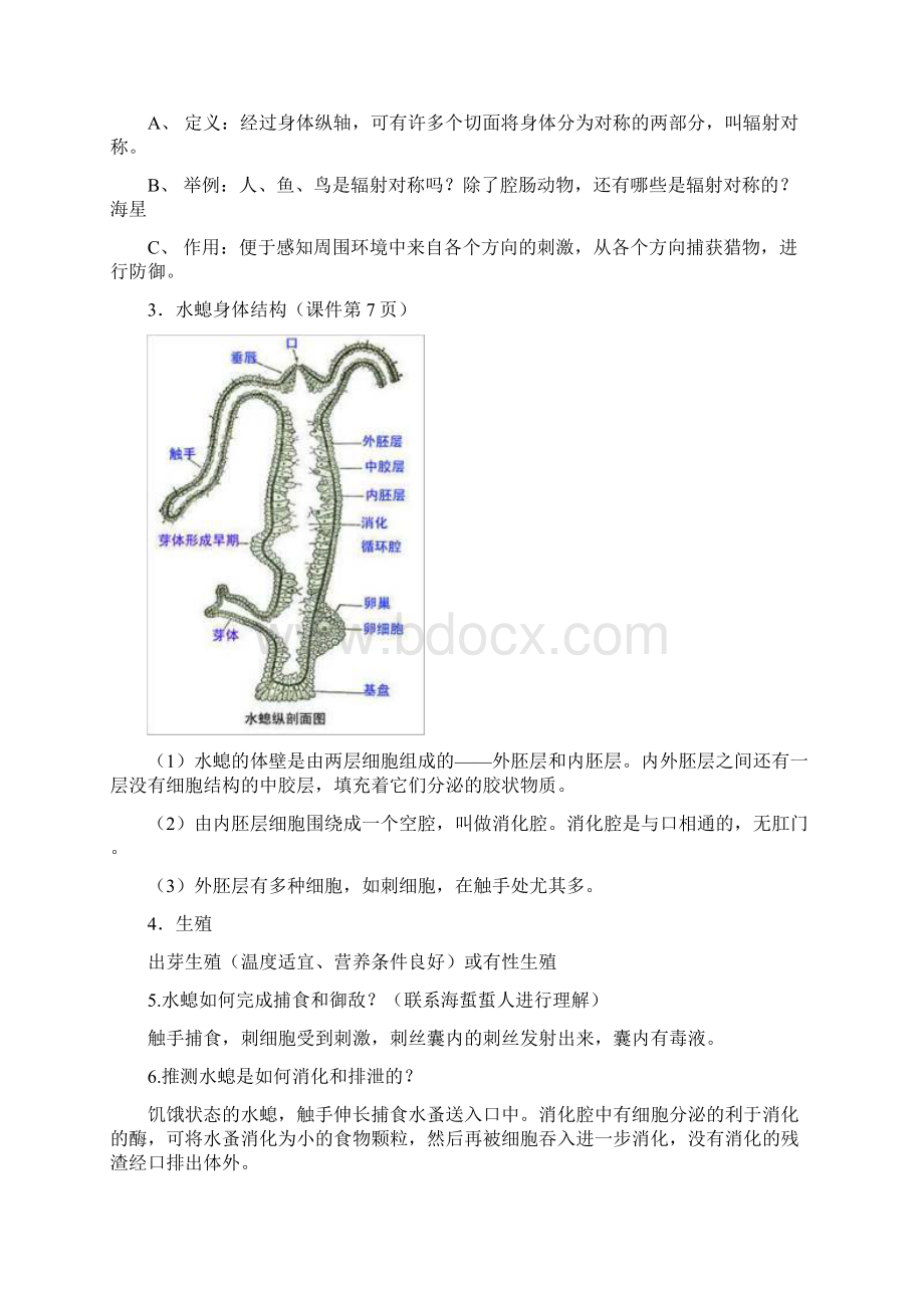 人教版八年级生物上册全册教案教学设计文档格式.docx_第3页