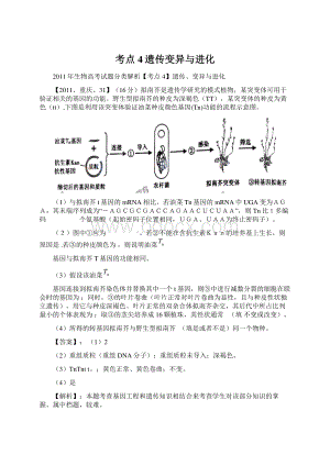 考点4遗传变异与进化.docx