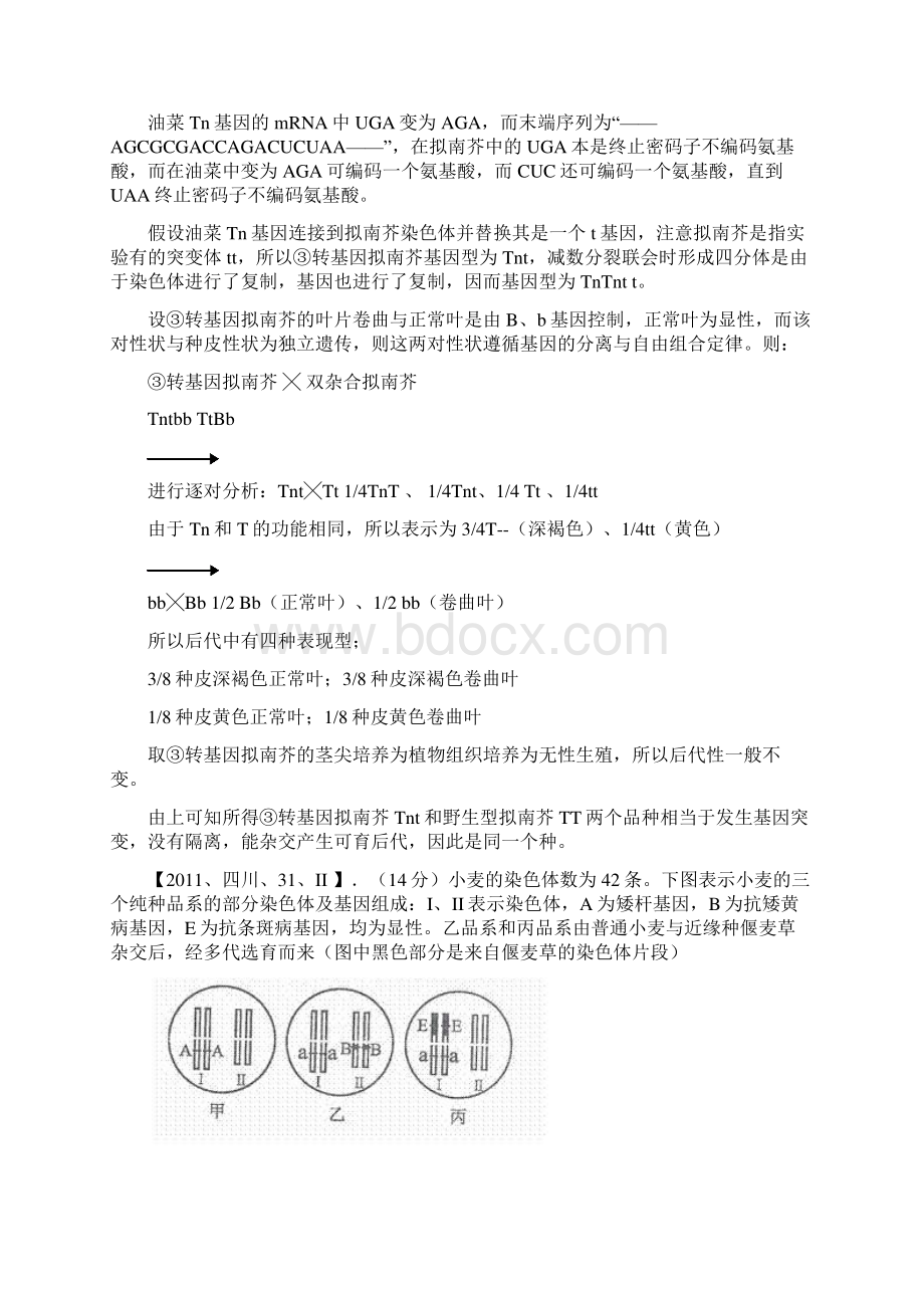 考点4遗传变异与进化.docx_第2页