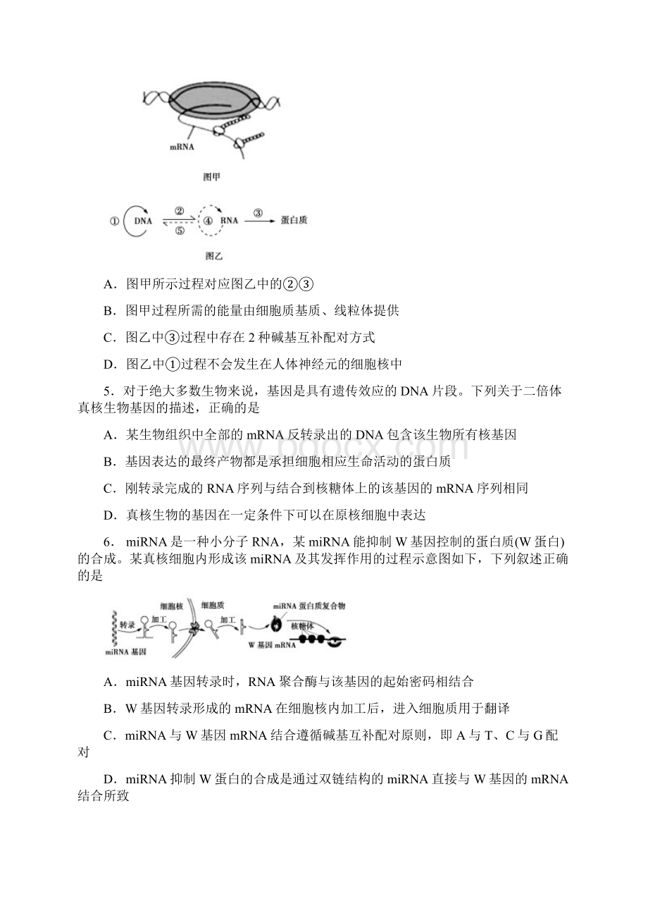 安徽省阜阳市临泉县第一中学学年高二上学期期末考试生物试题 Word版含答案.docx_第2页