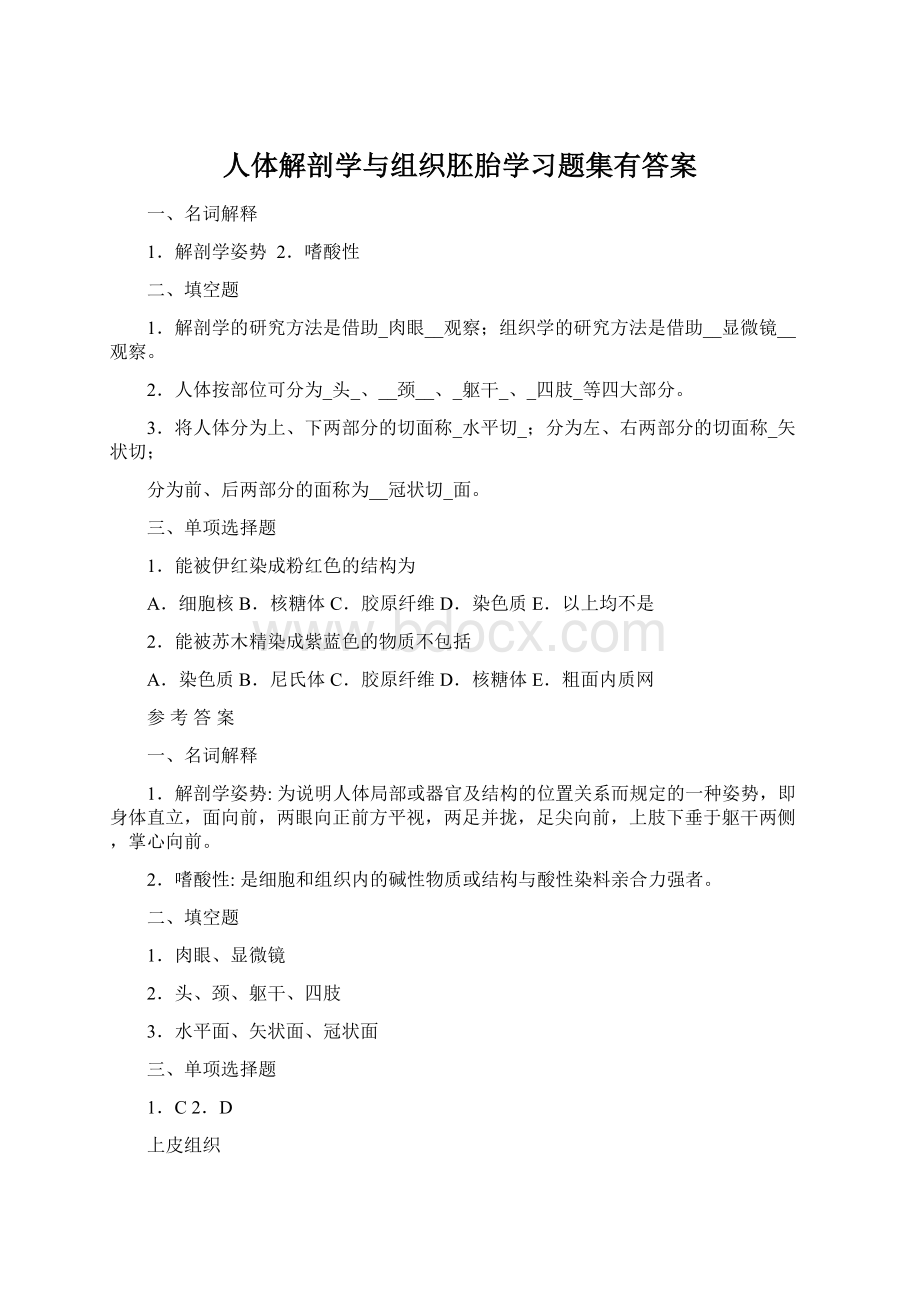 人体解剖学与组织胚胎学习题集有答案文档格式.docx